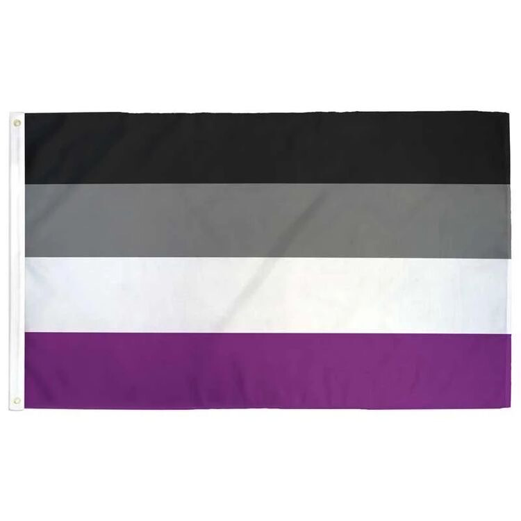 Asexual Flag