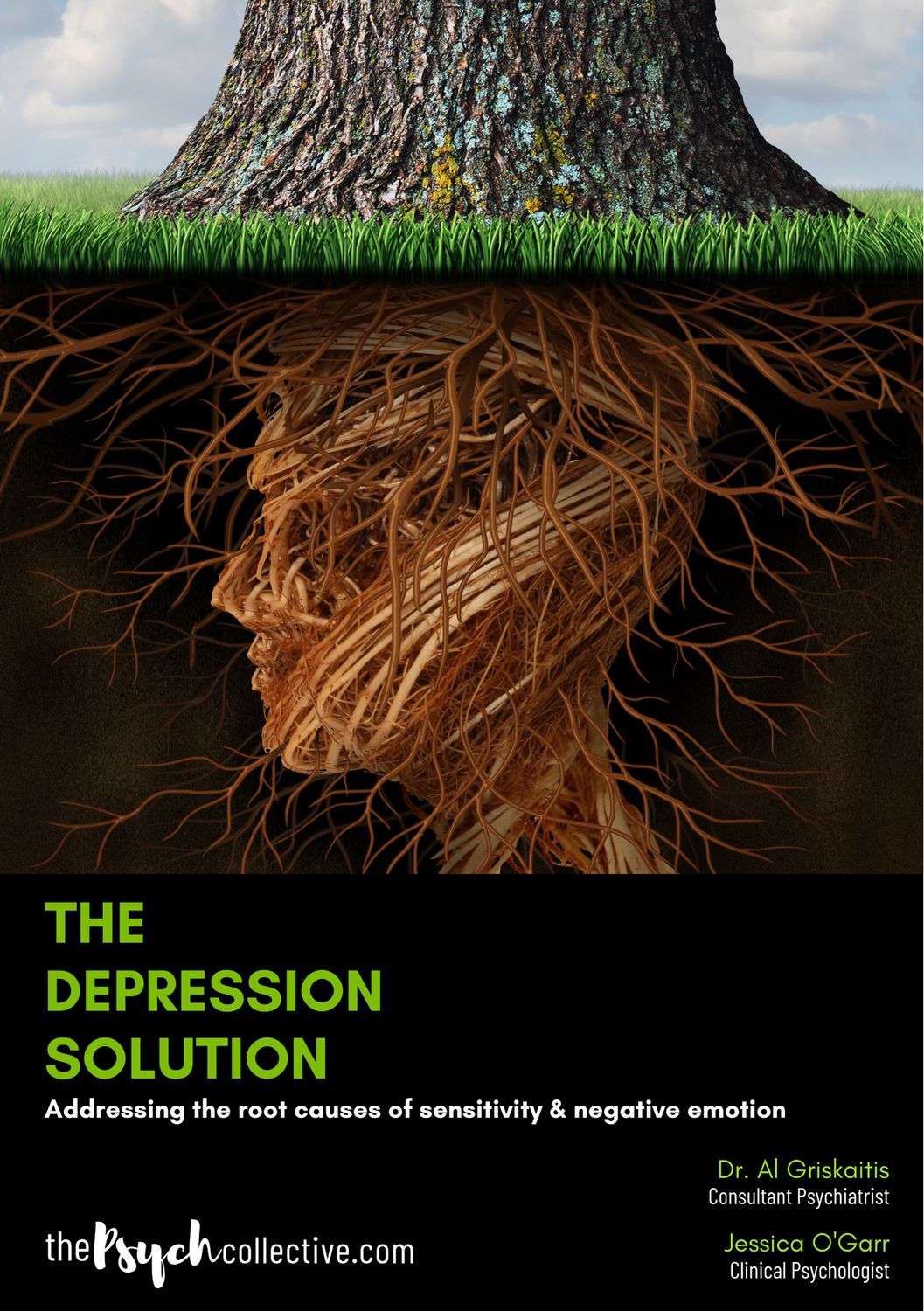 The Depression Solution eBook