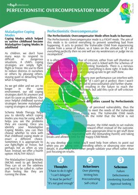 Perfectionistic Overcompensator