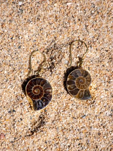 Pendiente Ammonite