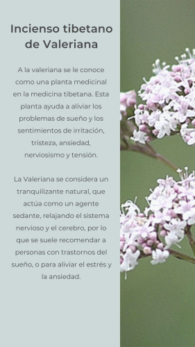 Incienso Tibetano Natural Valeriana Incienso Tibetano Natural Valeriana