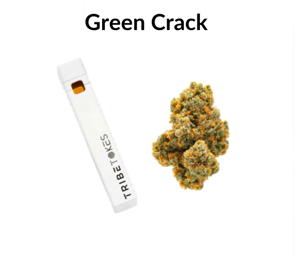 Green Crack - Sativa