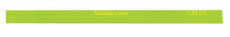 Quarter Plus Ruler 8in x 0.5in $6