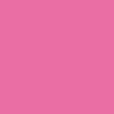 10112 Premium Quilters Muslin Begonia $16 per mt