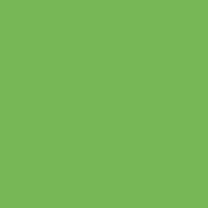 10062 Premium Quilters Muslin Lime $16 per mt