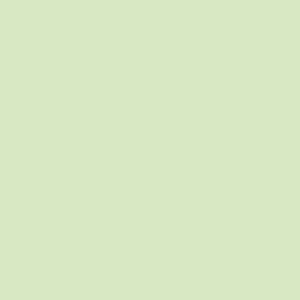 10108 Premium Quilters Muslin Mint $16 per mt