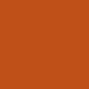 10173 Premium Quilters Muslin Burnt Orange $16 per mt
