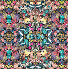 15456 Chrysalis Lepidoptera Prism $30 per mt