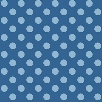 14638 Kimberbell Basics Spot Blue $28 per mt