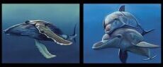 Chris Riley Art Panel DV3915 $12 each