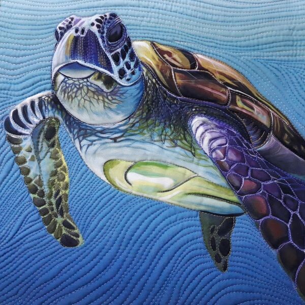 FMQOC Free motion quilting with panels online class