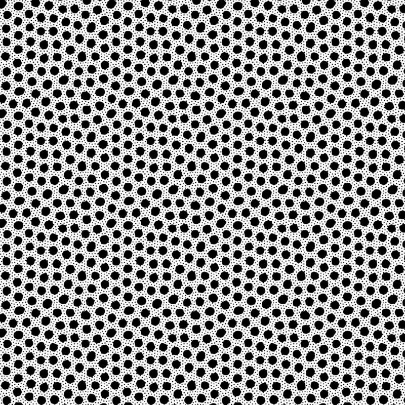 16989 Morning Frost Black Ink Spots $20 per mt