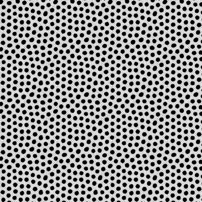 16989 Morning Frost Black Ink Spots $20 per mt