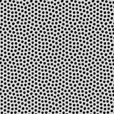 16989 Morning Frost Black Ink Spots $20 per mt