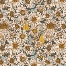 13786 Shine On Chasing Daisies $30 per mt