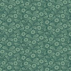 14853 Local Honey Primrose Spruce