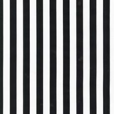18203 Sevenberry Stripe Black White $28 per mt
