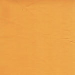 10055 EL Premium Quilters Muslin Star Gold $16 per mt.JPG