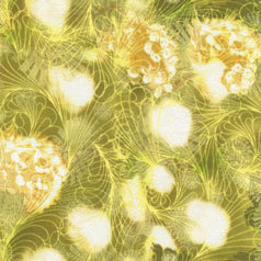 10458 Wildflowers JN-C4069 Poison $25.40 per mt 10458 Wildflowers JN-C4069 Poison $25.40 per mt