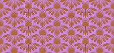 Indelible Coneflower Vintage Taffy $36 per mt
