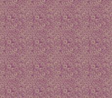 Indelible Mums Vintage Mauve $36 per mt