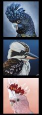 Chris Riley collection Birds panel DV3914 $12