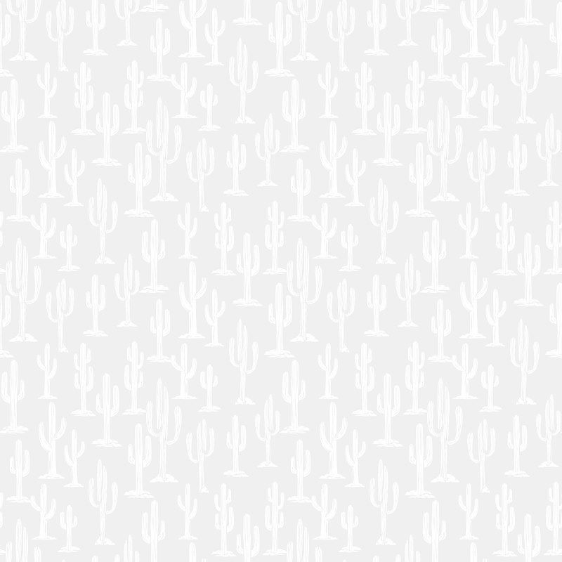 Monochrome Cactus $30 per mt