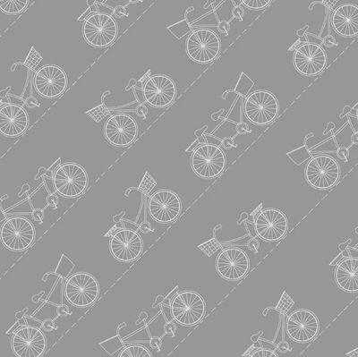 Vintage Boardwalk Bikes Grey $26 per mt