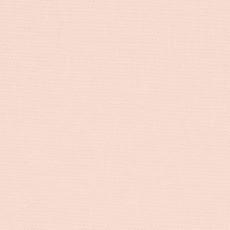 Devonstone Solid Sea Shell $16 per mt