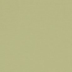 Devonstone Solid Pistachio $16 per mt