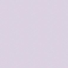 Premium Quilters Muslin Dusty $16 per mt