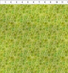 Blooming Day Night 11BDN_1 Leaves Green $32 per mt