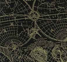 14454 Gold Standard Map Gold $25.40 per mt 14454 Gold Standard Map Gold $25.40 per mt