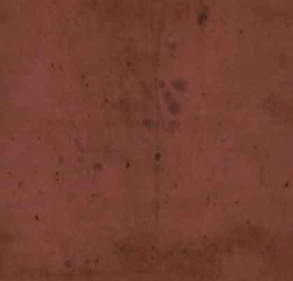 15355lg Provisions Crimson $28.60 per mt