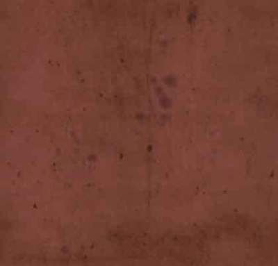 15355lg Provisions Crimson $28.60 per mt