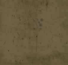 15357 Provisions Sepia $30 per mt