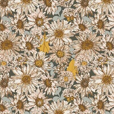 13786 Shine On Chasing Daisies $30 per mt