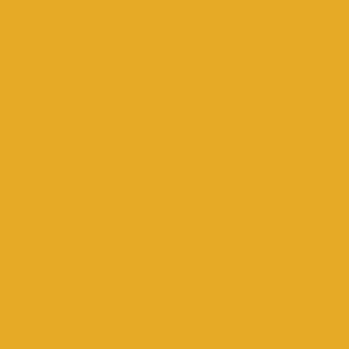 13790 Pure solids Turmeric $24 per mt