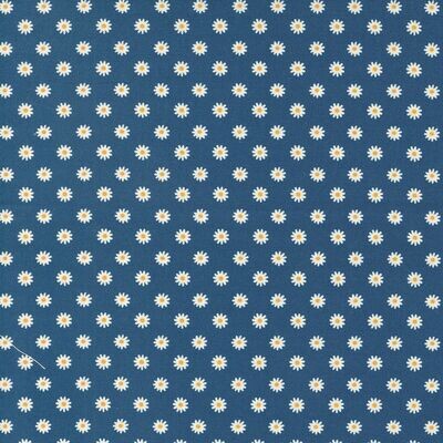 13419 Vintage Soul Daisy Dot Horizon $32 per mt