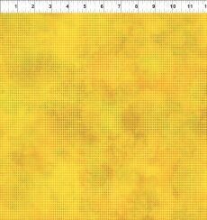 14519 Dit Dot Evolution Buttercup $30 per mt