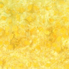 Banyan Cinnamon Tree Lined Blossoms Sunglow $20 per mt