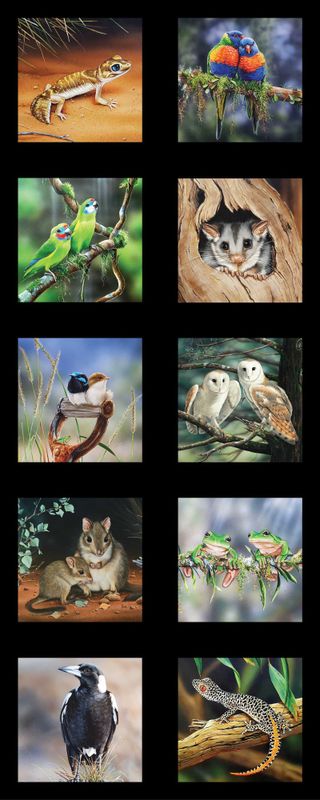 Wildlife Art Panel DV 3707 $14
