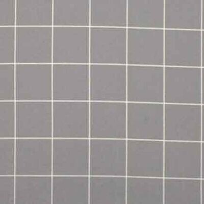 15285 Kaffe Design Wall Flannel Grid $38 per mt