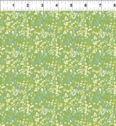 Lovelies 11LOV_1 $32 per mt