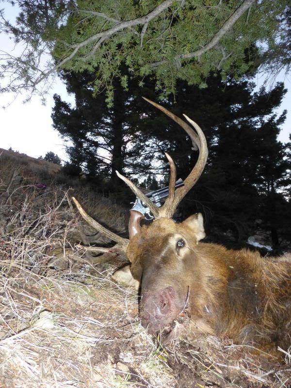 .44 Magnum 300 Grain Heavy Hammer Hardcast Wide nose. (100 RND)