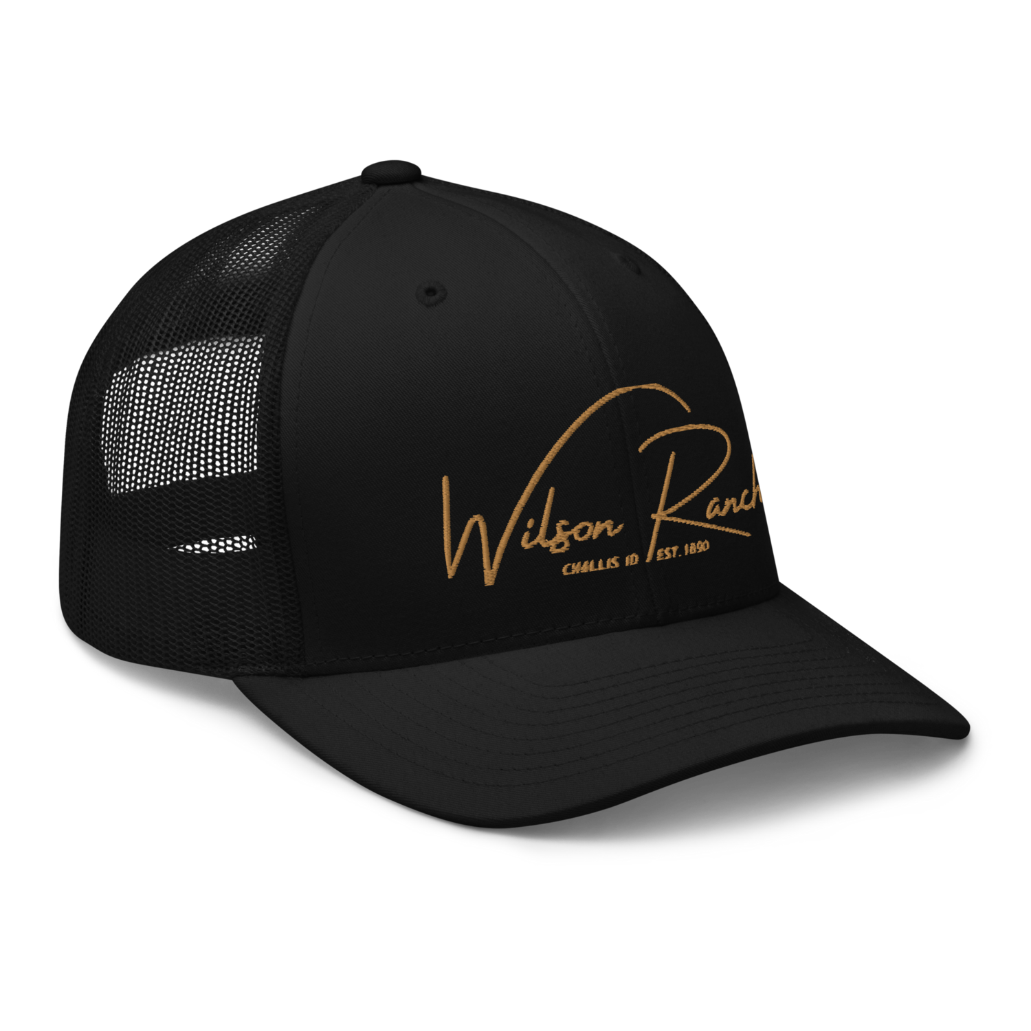 WR Trucker Hat, Color: Black