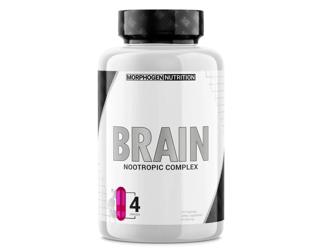 Morphogen Nutrition Brain