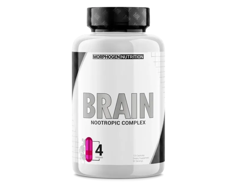 Morphogen Nutrition Brain