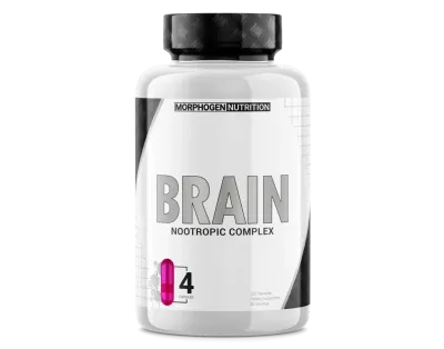 Morphogen Nutrition Brain