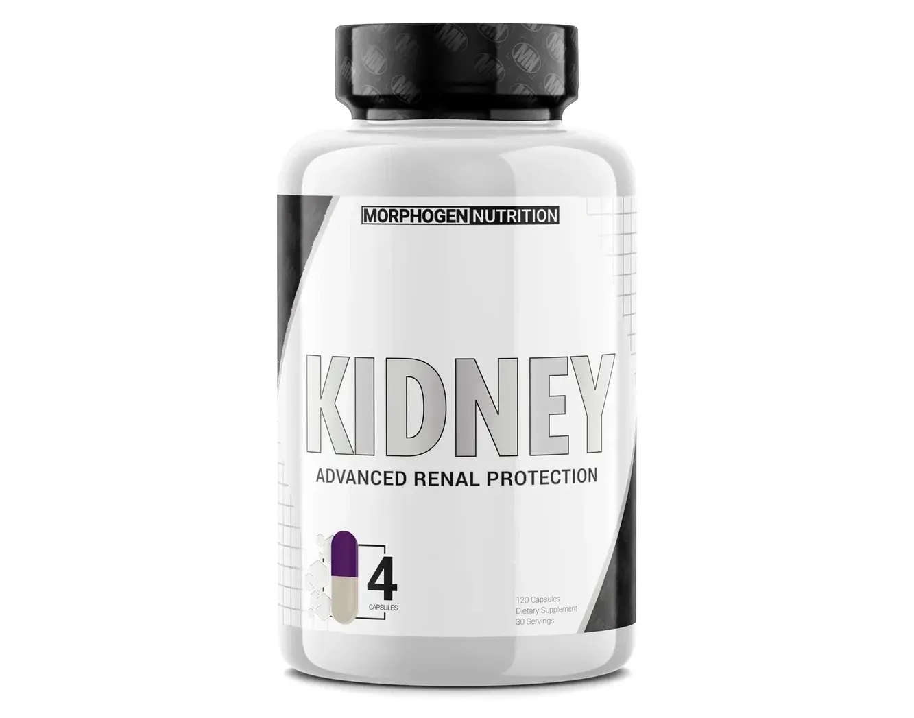 Morphogen Nutrition Kidney